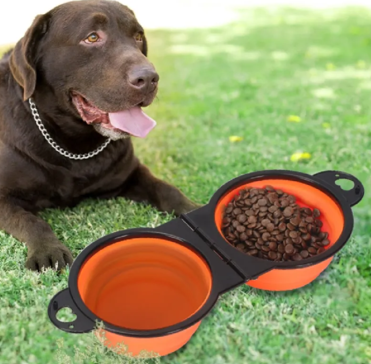 XaviroQ Outdoor Pet Feeder